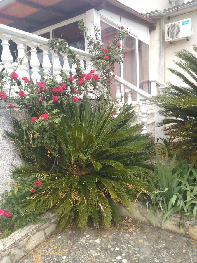 Apartments Ruza Dragove Dugi Otok Ngoại thất bức ảnh